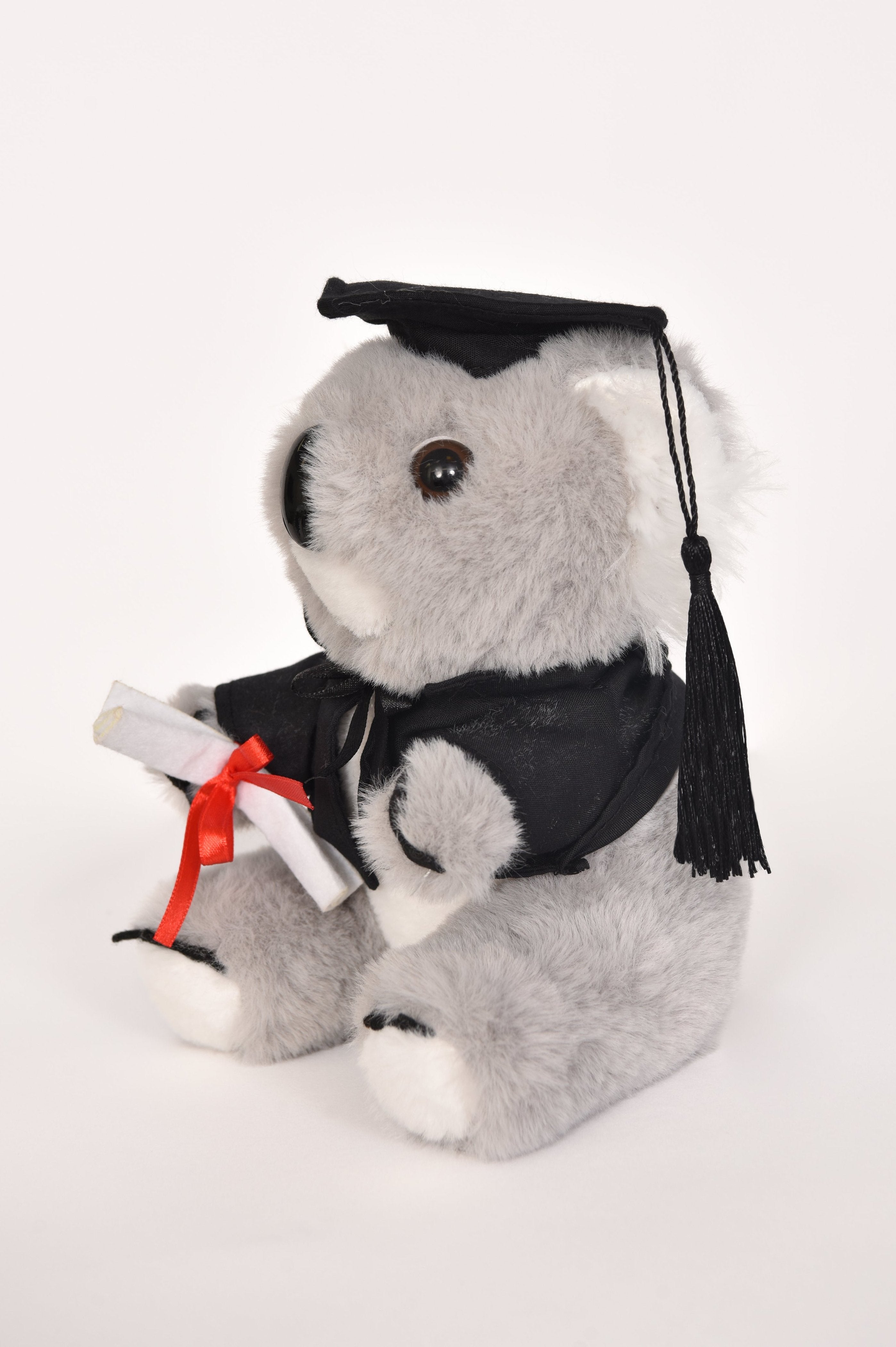 Graduation Bears