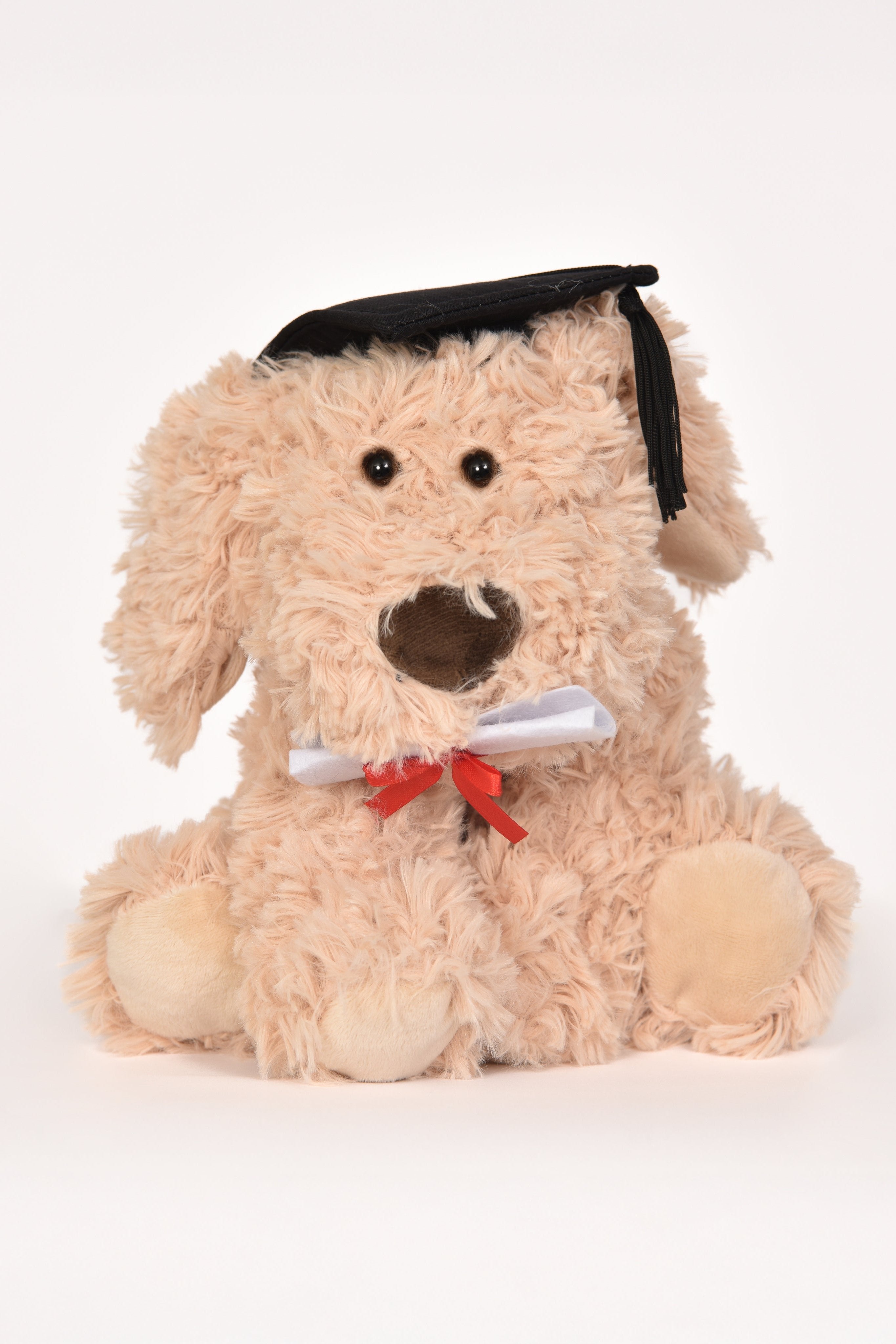 Graduation Bears