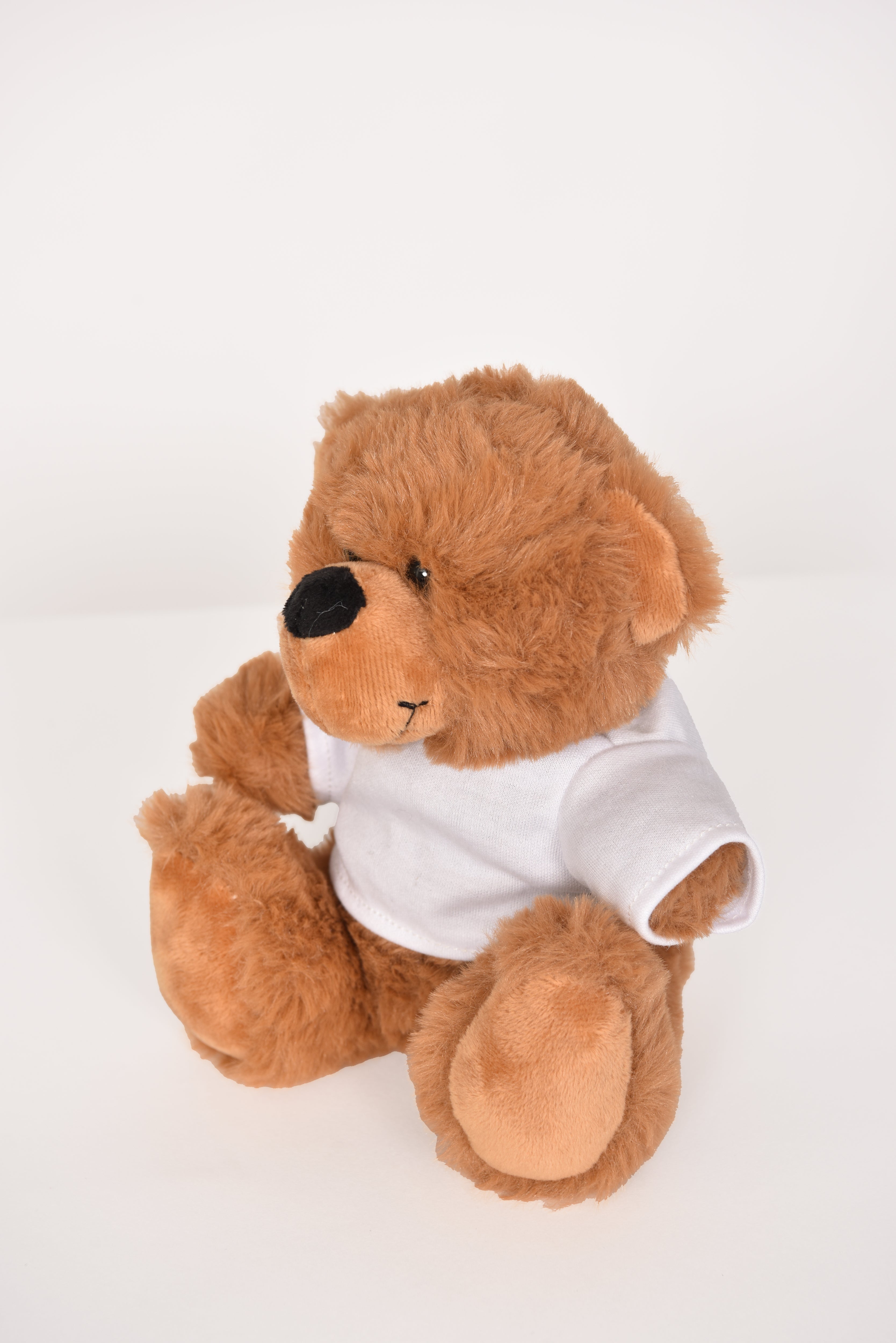 Graduation Bears