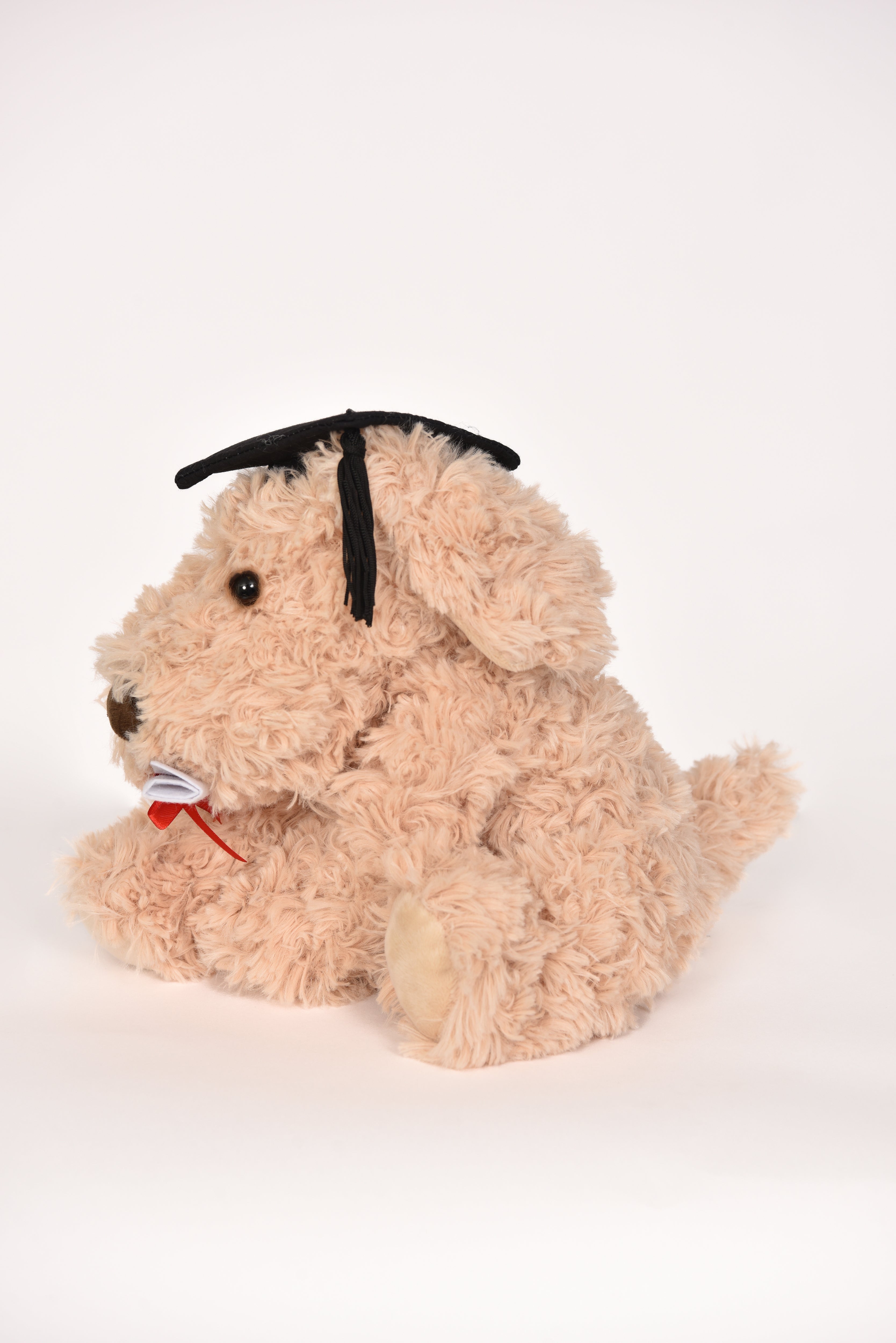 Graduation Bears