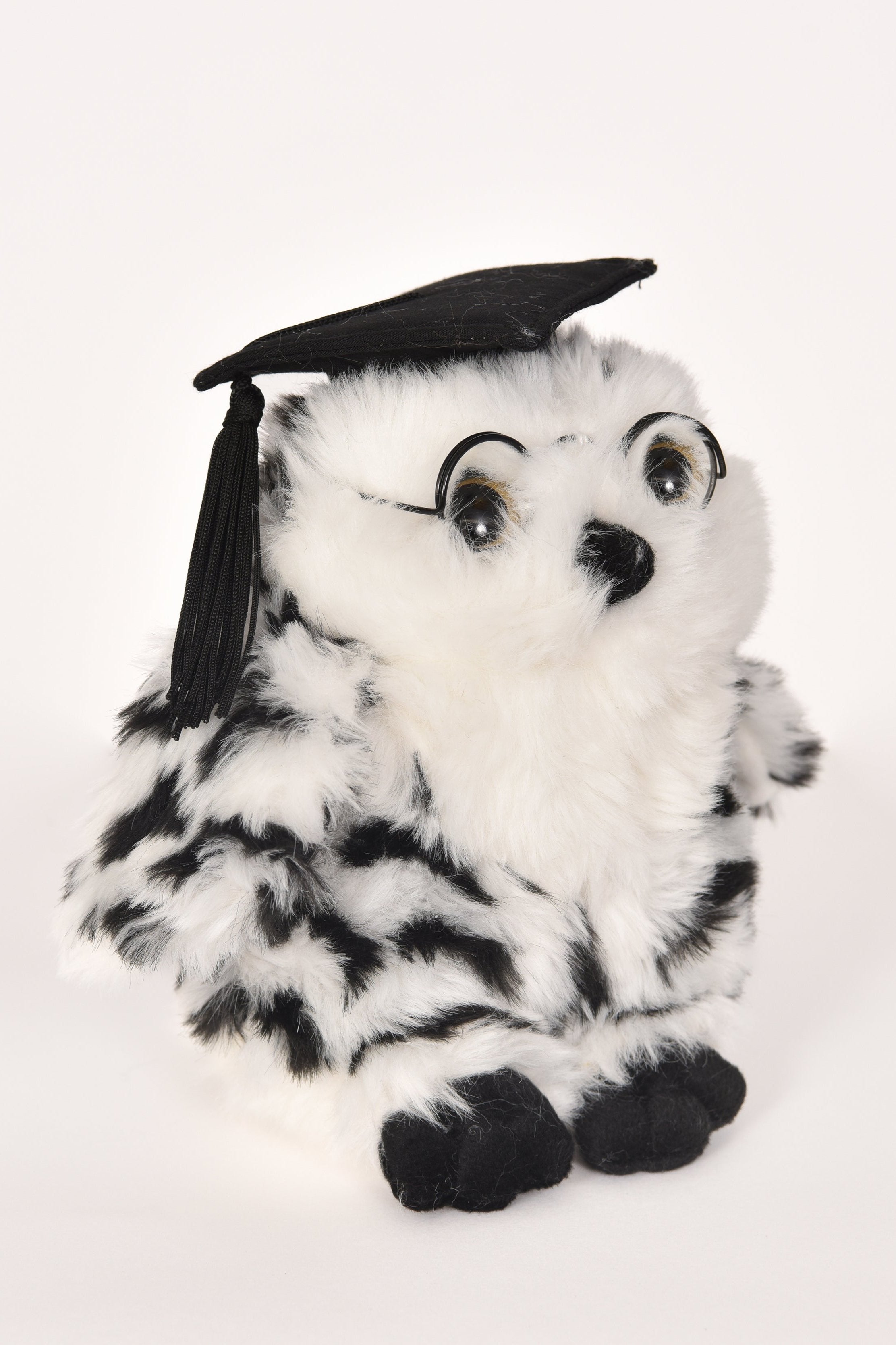 Graduation Bears
